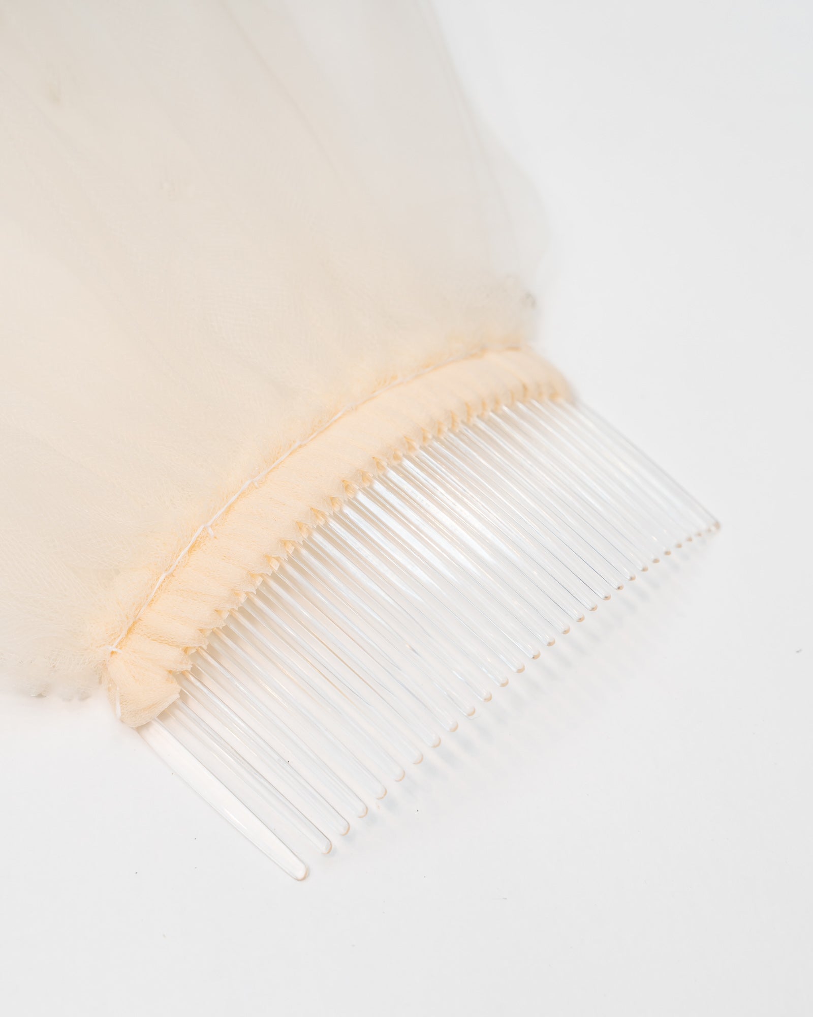 Amy Veil
